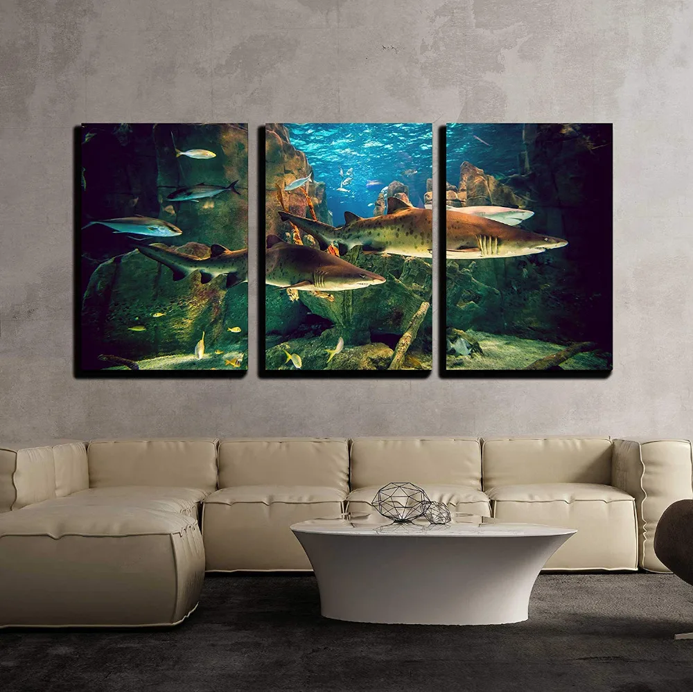 

3 Piece Canvas Wall Art - Two White Sharks in Istanbul Aquarium Print on Canvas Ready to Hang Drop shipping