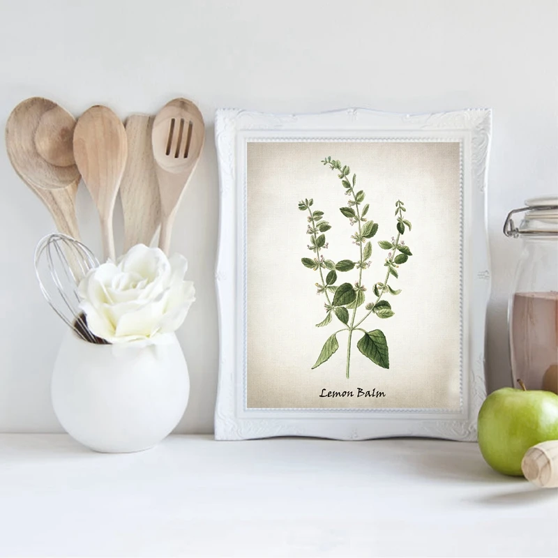 Culinary Herbs Kitchen Art Digital painting Wall Decor