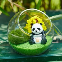 Новая прозрачная стеклянная ваза для аквариума, гидропонная ваза для цветов, круглая стеклянная ваза для декорирования, стеклянные вазы для аквариума, украшение для дома