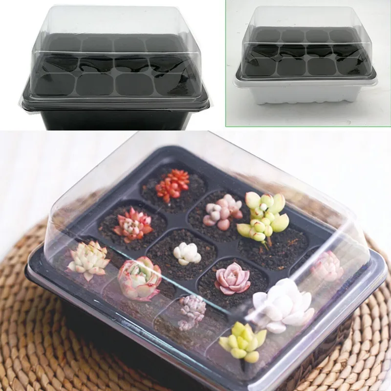 

Garden Bonsai Seedling Tray Sprout Plate 12 Holes Nursery Plant Pots Tray Lids Box For Gardening Mini Greenhouse