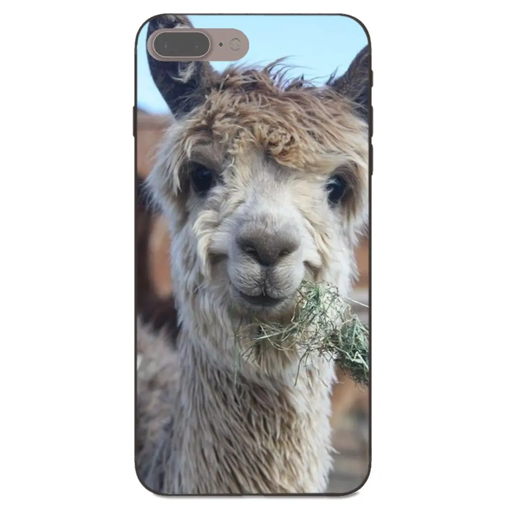 Милый Llama Альпака животное Мягкий Силиконовый ТПУ черный экран протектор для Xiaomi