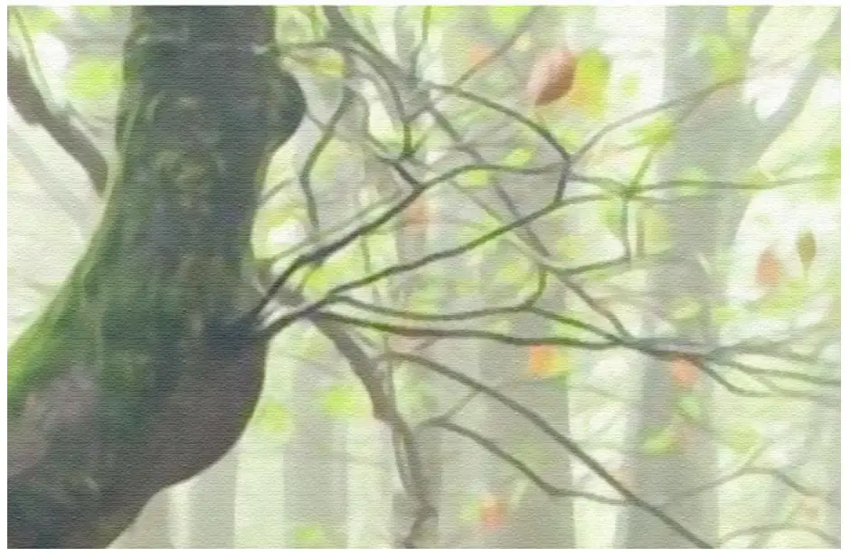 36020170912223251374