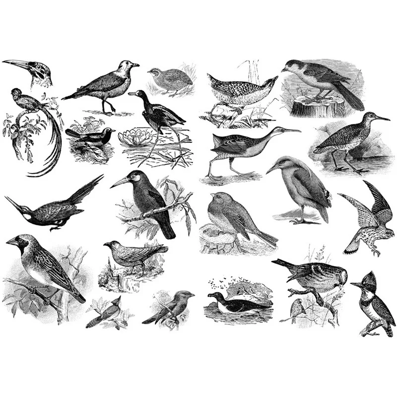 1 шт. черный эскиз птицы Cosas Kawaii Precut наклейки Скрапбукинг Канцелярские принадлежности васи лента набор школьных принадлежностей