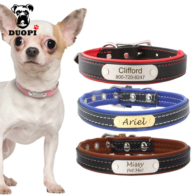 personalized engraved free dog collar leather dog cat pet collars