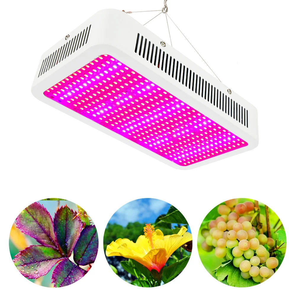 Buy 400W 800W Full Spectrum LED Grow light Grow Box