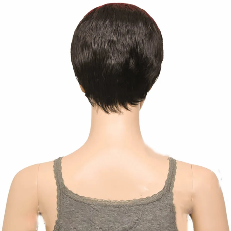 TBBG(FJ-BG)-4-(600)