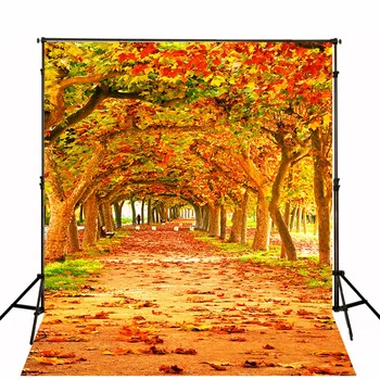 

Autumn Leaves Backdrops Photographic Backgrounds Children Photo Backdrops Toile De Fond Backdrops Vinyl Backgrounds For Photo St