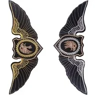 eagle patch