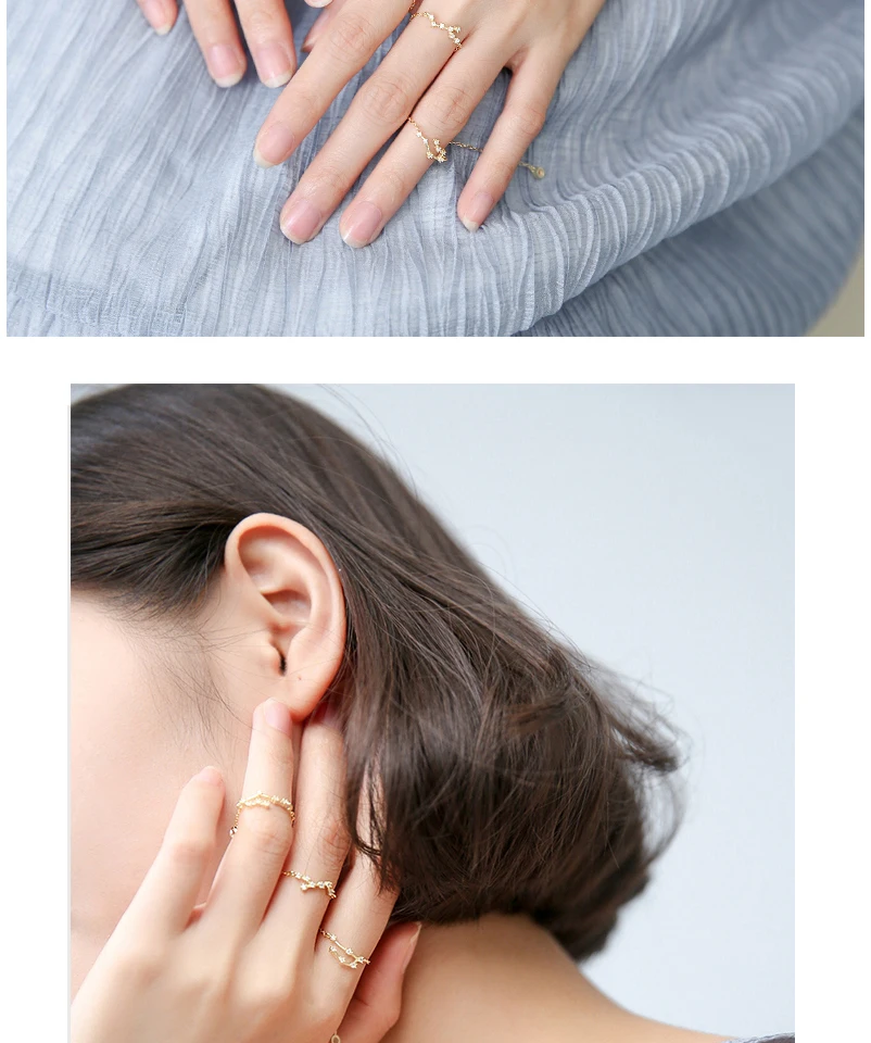 New 925 Sterling Silver Fashion CZ Crystal Tail Rings For Women Girls 12 Constellations Collection Finger Ring Jewellery Bijoux  (11)