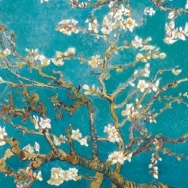 V. Van Gough Almond Laminated Poster (24 X 36)