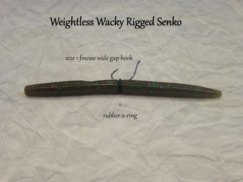 القطر الداخلي 4.5 مللي متر 5.5 مللي متر الصيد اكسسوارات 50 قطعة/الوحدة أحمق يا خاتم الكارب الصيد معالجة مجموعة ل نيكو تزوير أدوات صيد القطر الداخلي 4.5 مللي متر 5.5 مللي متر الصيد اكسسوارات 50 قطعة/الوحدة أحمق يا خاتم الكارب الصيد معالجة مجموعة ل نيكو تزوير أدوات صيد