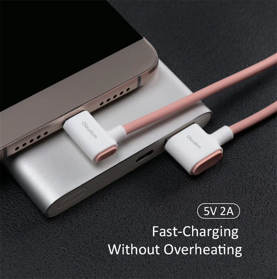 USB Type C Cable (2)