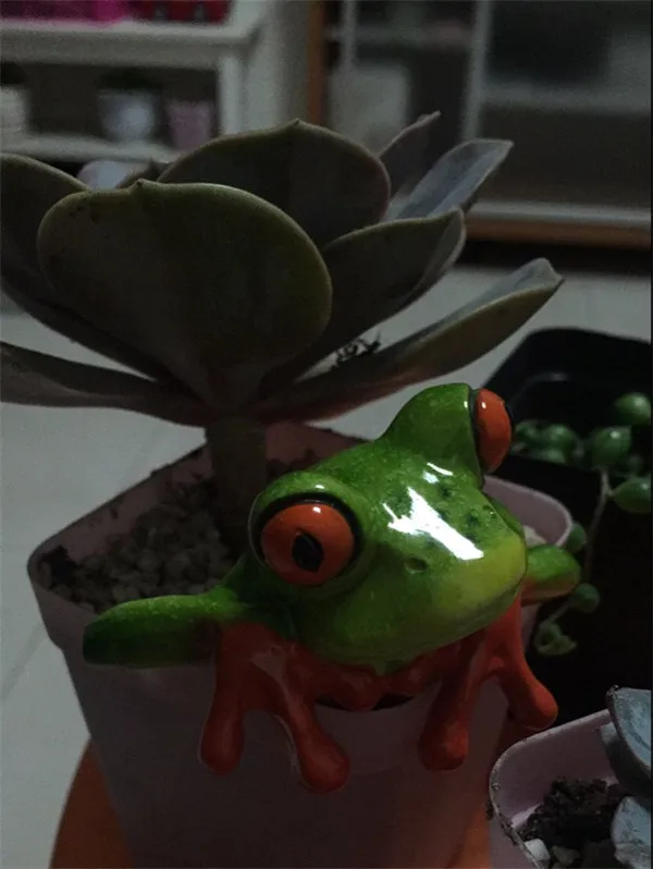 Cute Frog figure toy home office computer desk decoration - Customer Showcase