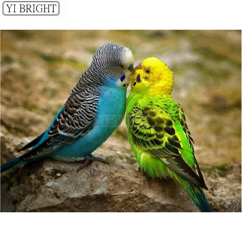 

Diy Diamond Painting Mosaic Parrots Resin Full Round 5D Diamond Embroidery Cross Stitch Needlework Animal Pattern LK1
