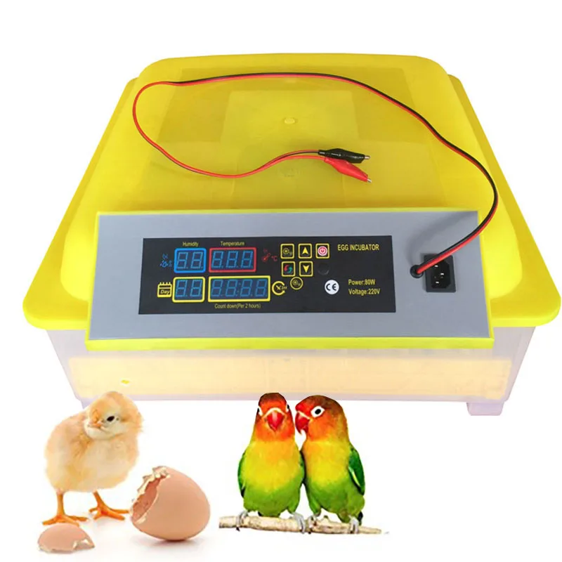 

48 Eggs Automatic Egg Incubators Fully Hatchery Machine Mini 48 Chicken Sale Auto Turn For Duck Pigeon Parrot Poultry Supplies
