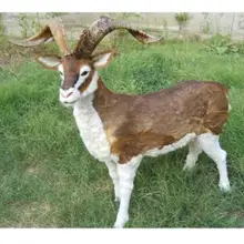 WYZHY моделирование большое животное Тибетская антилопа мех украшения сада 110X95 см