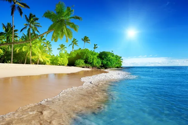 Vous Avez Cherché Soleil Plage Arts Et Voyages