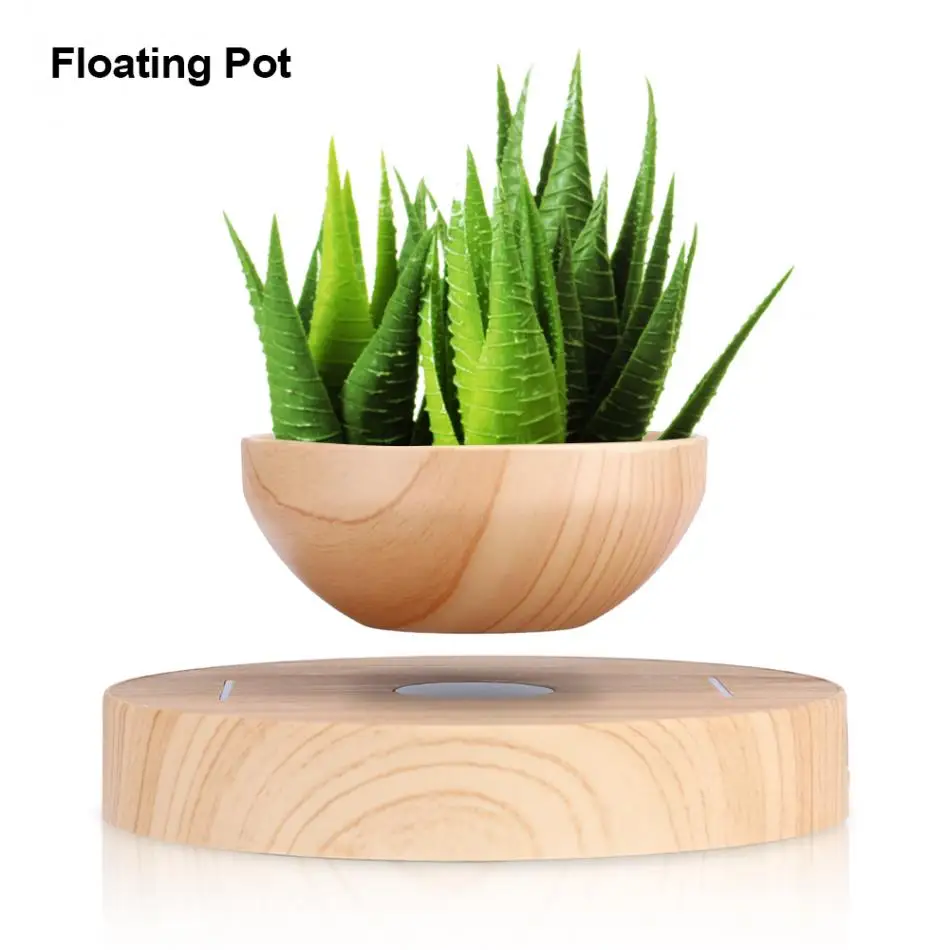 Buy Suspension Flower Pot Levitation