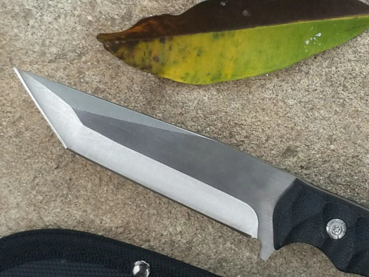 NEW Tanto Small Straight Knife Fixed Blade Tactical Knife Stainless
