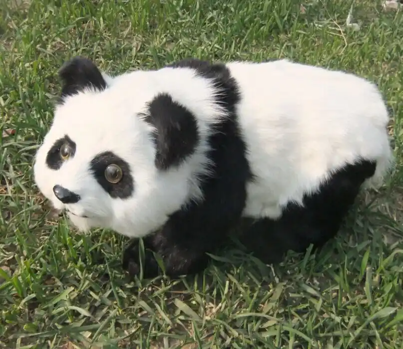 walking panda toy