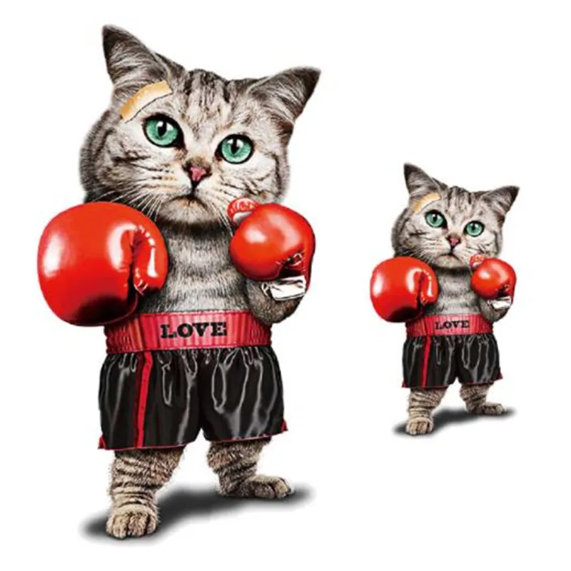 

Cute PVC Patch deal with it Clothes Heat Transfer Printing Cat Boxing T shirt girl iron on patches for clothing women Stickers