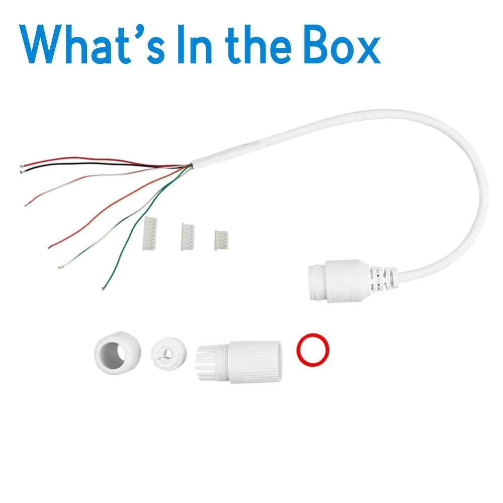 What_s In the Box