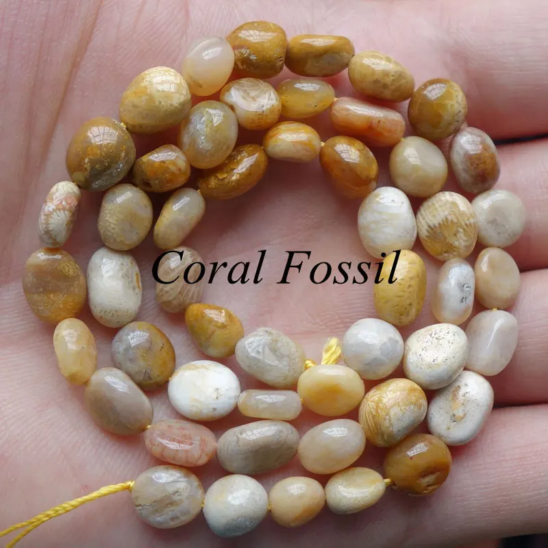 V2589-Coral-Fossil