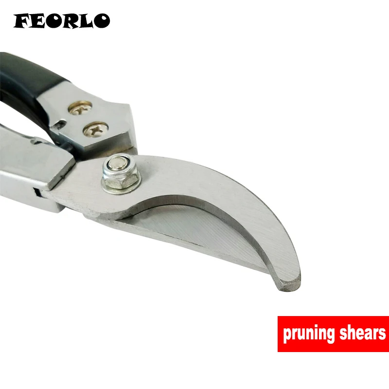 pruning shears 2