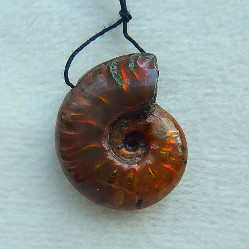

Carved Natural stone Ammonite Fossil Pendant Bead,30x25x11mm,10.3g