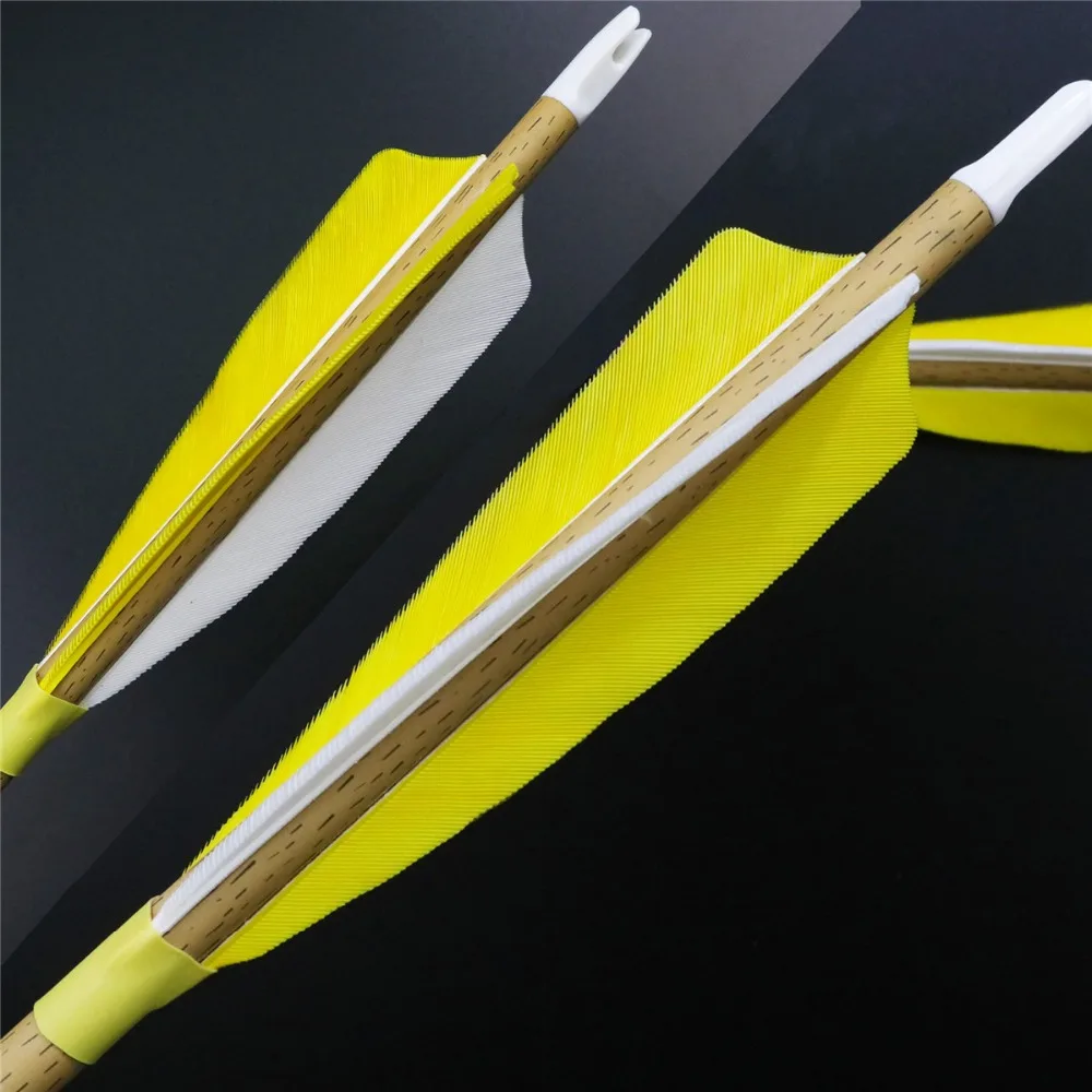 carbon arrows (5)