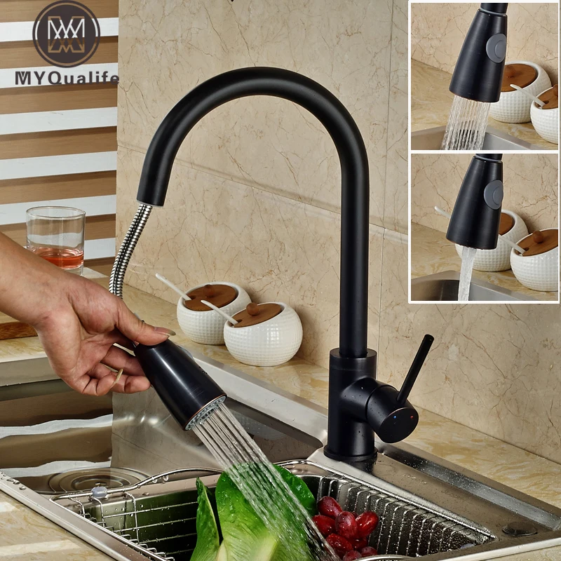 Dual Sprayer Function Pull Out Hose Kitchen Sink Faucet Single Handle