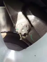 Car Wash 