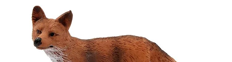 -10--DW-M-MY89-114-120_15