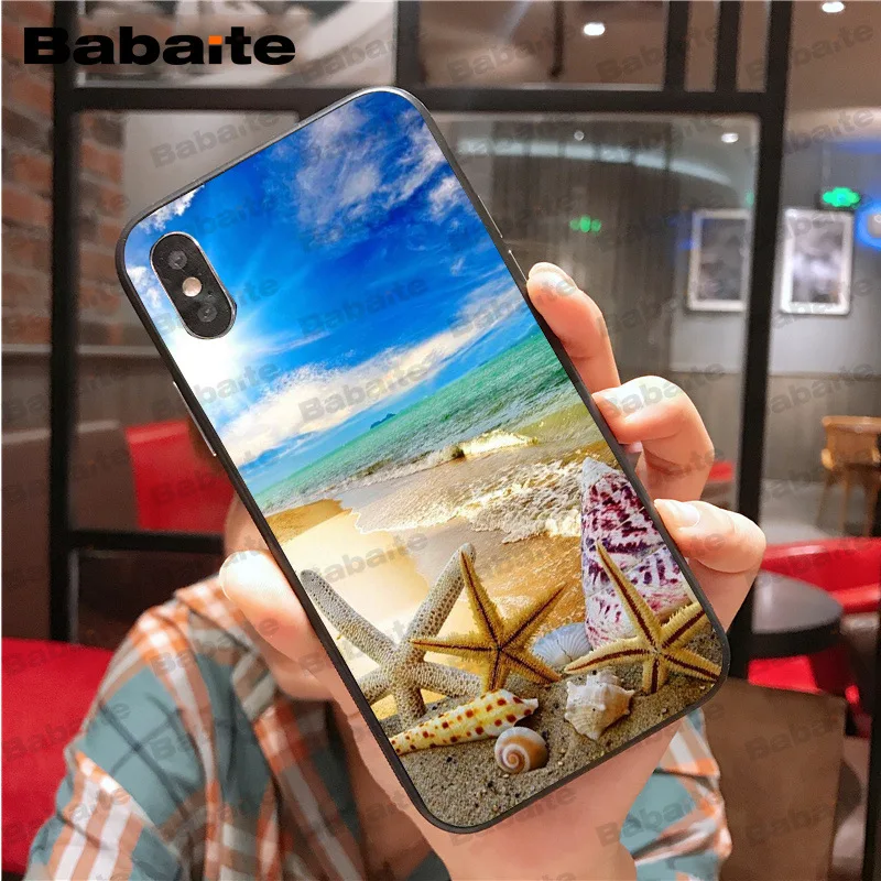 Beach Starfish Landscape