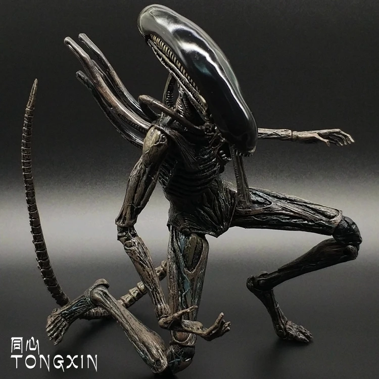 20181128_183229_066