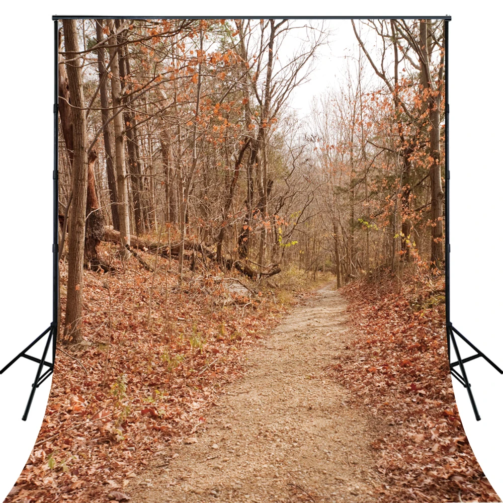 4X6ft Art Fabric Autumn Forest Path photography filming photobooth banner Backdrop D3608 | Электроника