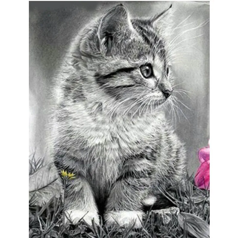 

5D DIY Diamond Painting,Special Daimond accessories,Diamond Embroidery,Animal, cat,Full,Rhinestone,5D Diamond Mosaic,Decor A30