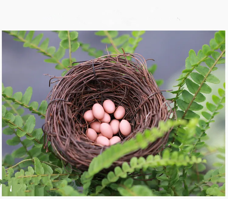 1PC Micro Fairy Garden Decoration Miniature Figurine Toys Crafts DIY Accessories Artificial Birds Nest Simulation Eggs KS 041 | Дом и сад