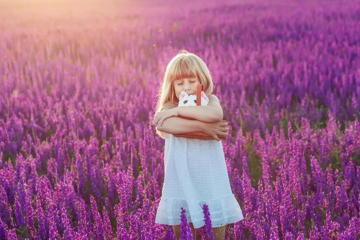 

Vinyl Photography Backdrop Lavender Farm Spring Bokeh Photographic Background Baby Shower Decorations Photocall Background Props