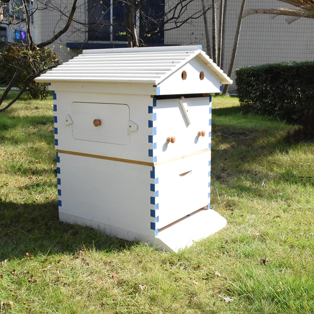 

Automatic Beehive House with Flow Comb Honey Wooden Beehive House Frames Plastic Beekeeping Harvesting Tubes Kit Beekeeper Tools