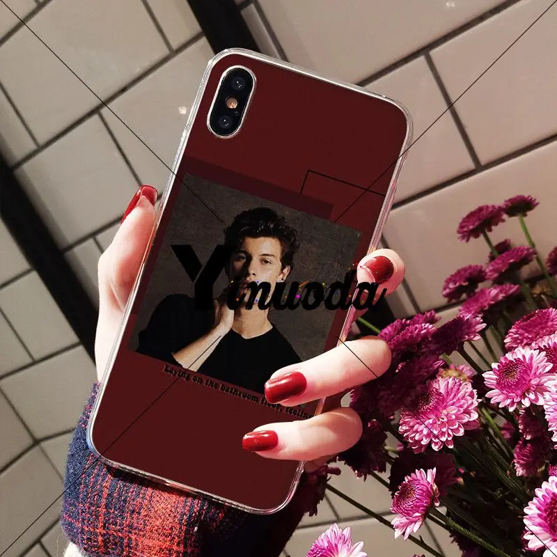 Hit pop singer Shawn Mendes love