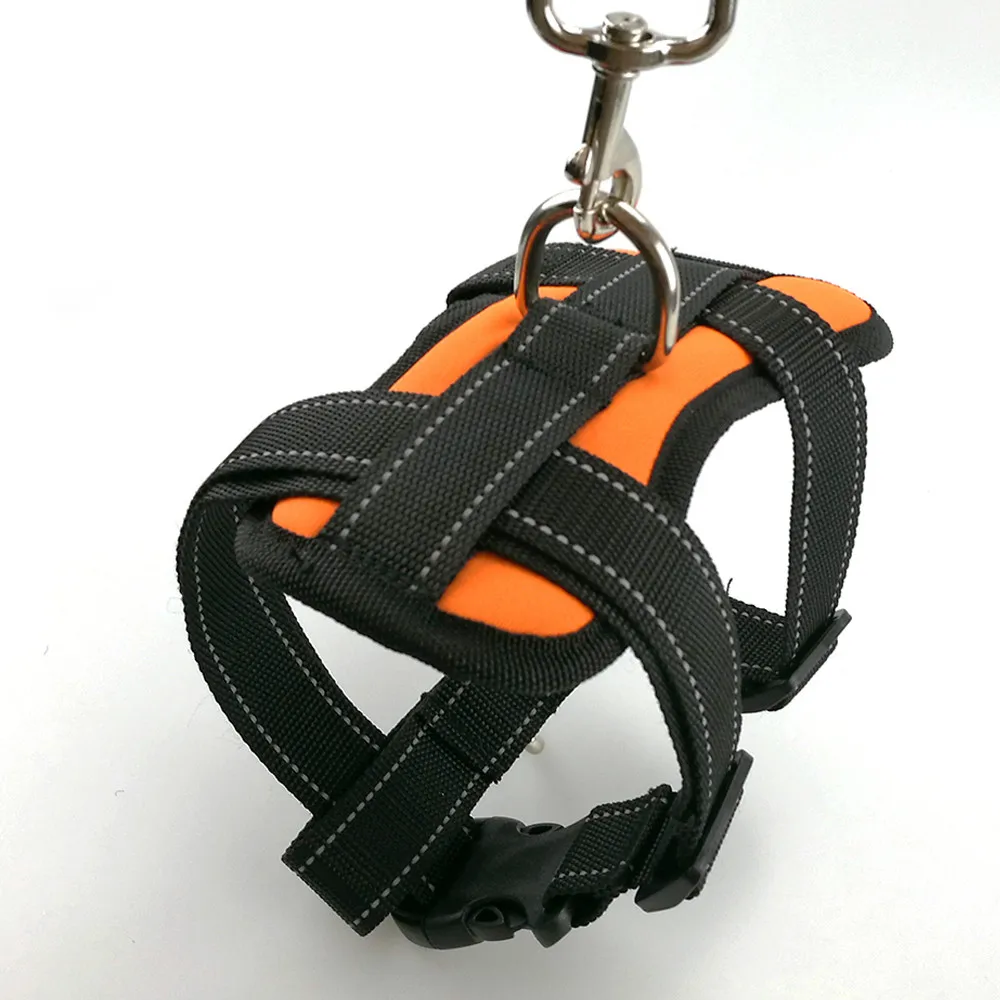 PY0023 orange