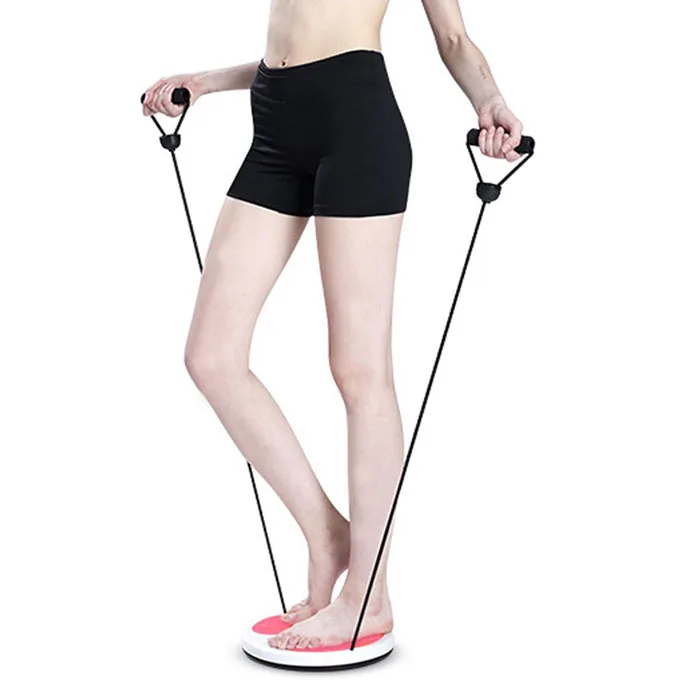 Hot sales Fitness Equipment Twist Boards Fitness Disc