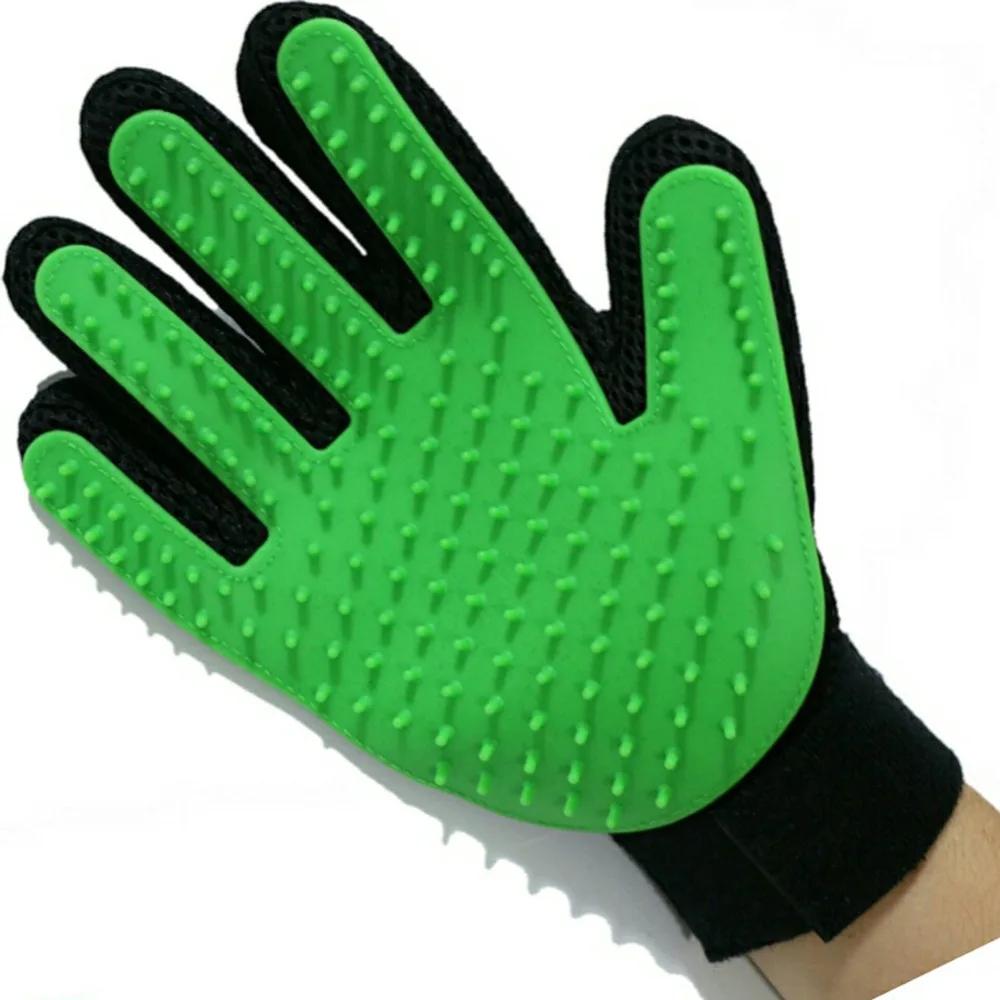 4387461927_70293600_