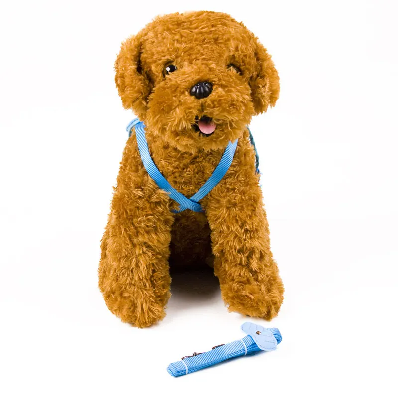 9 dog belt