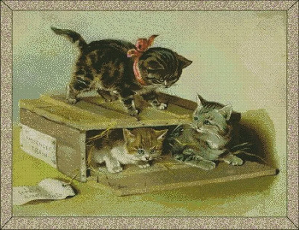 Кот для открытки