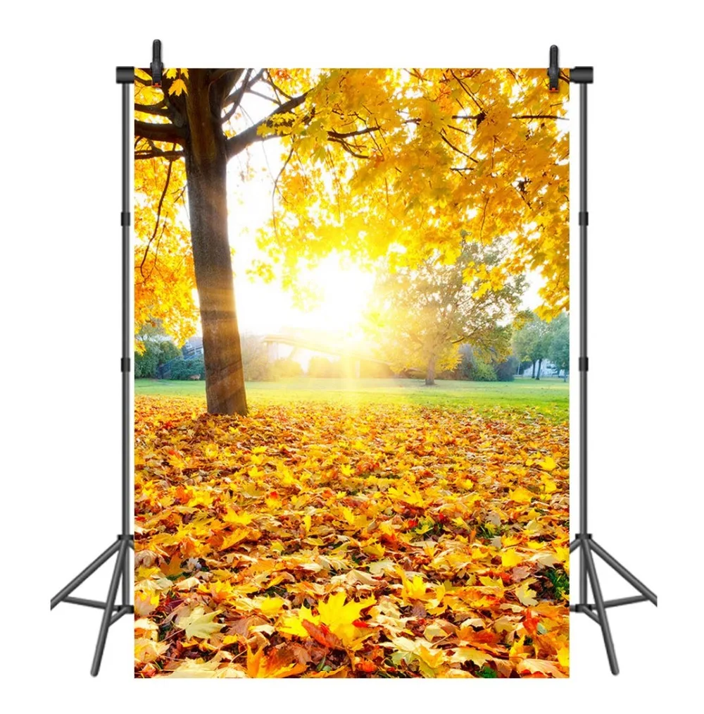 Sensfun осенние кленовые листья с закатом фото фон природа декорации фотографии