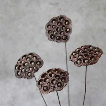 

5pcs Dried Natural Lotus Seedpod with Iron Wire For Wedding Party Home Hotel Vase Decoration DIY Bouquet Accessory
