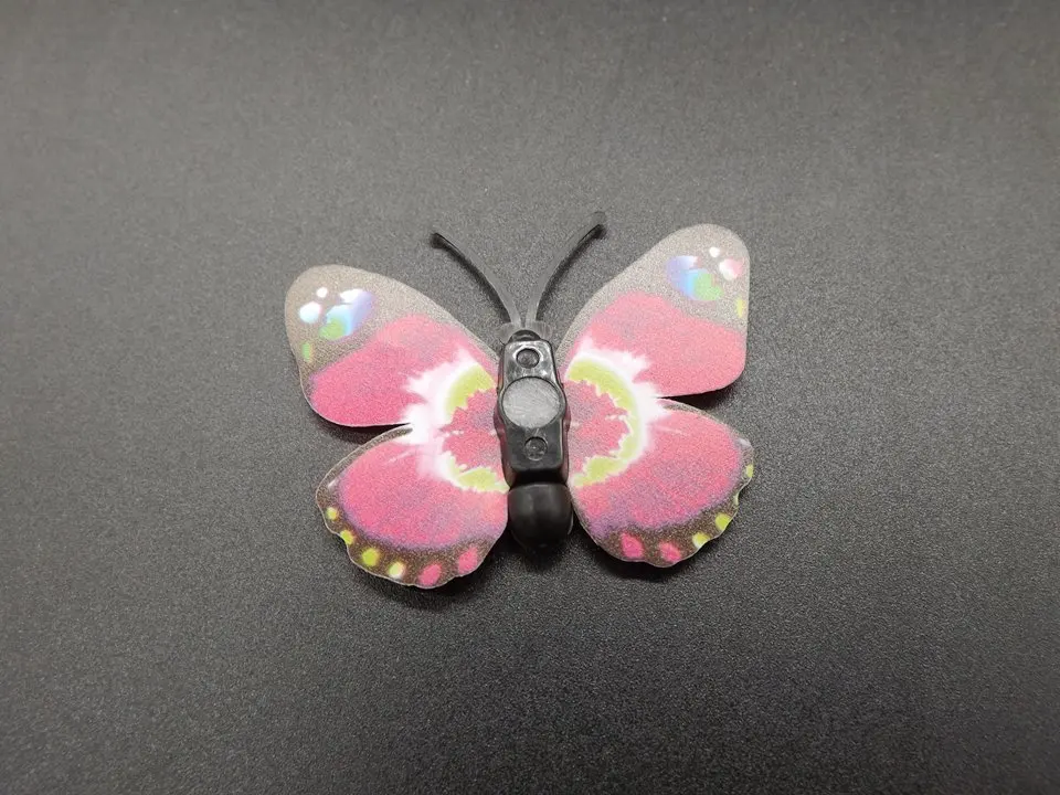 I250-Butterfly (9)