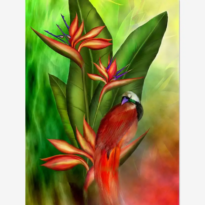 BirdParadise_PWD
